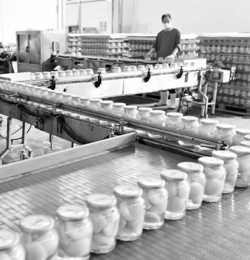 利用資源優勢 發展特色產業